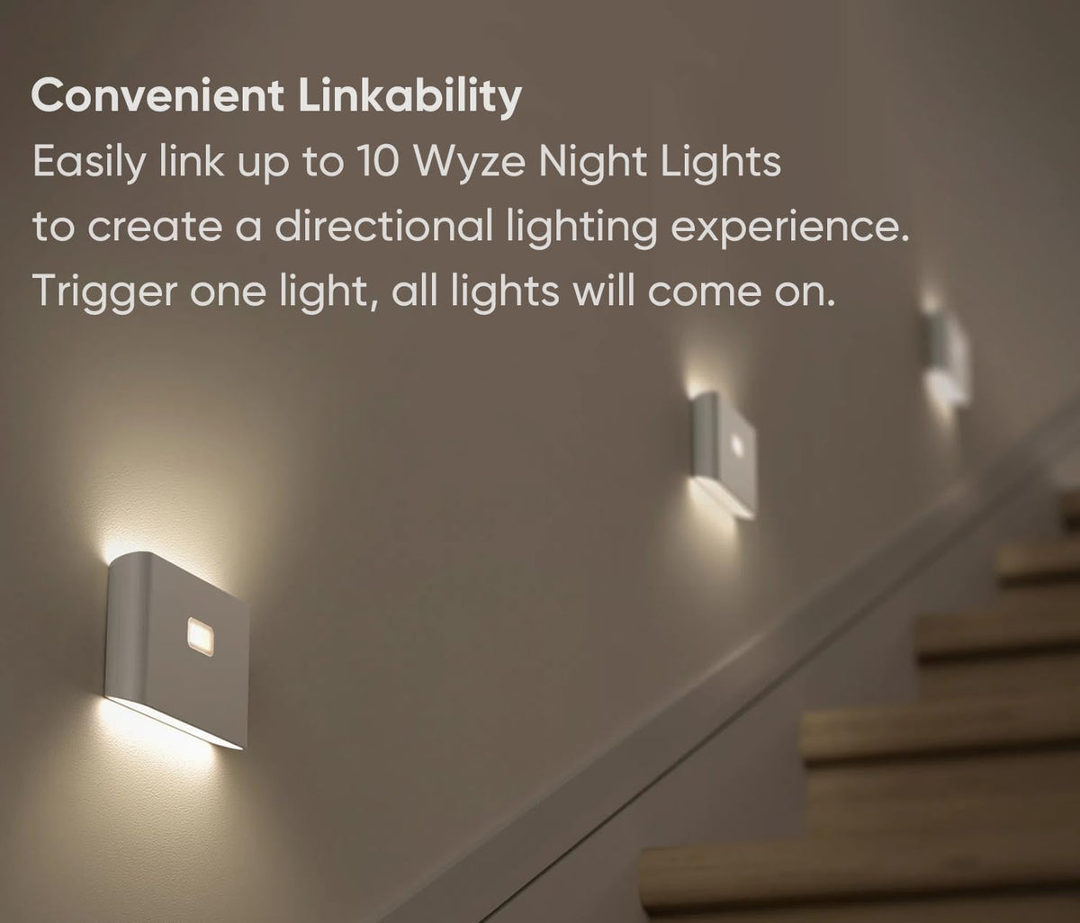 Smart Scale & Night Lights 3 Pack U9402
