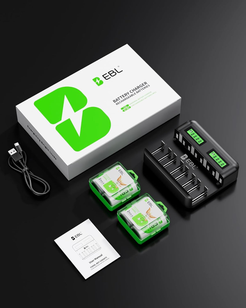 Rechargeable D Batteries 4 Pack with Battery Charger E14700