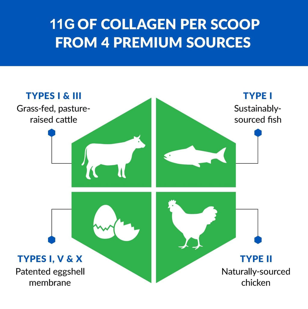 Unflavored Hydrolyzed Grass Fed Collagen Peptides Powder W40765