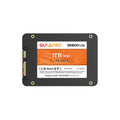 1TB 2.5 SATA III Internal Solid State Drive X76246