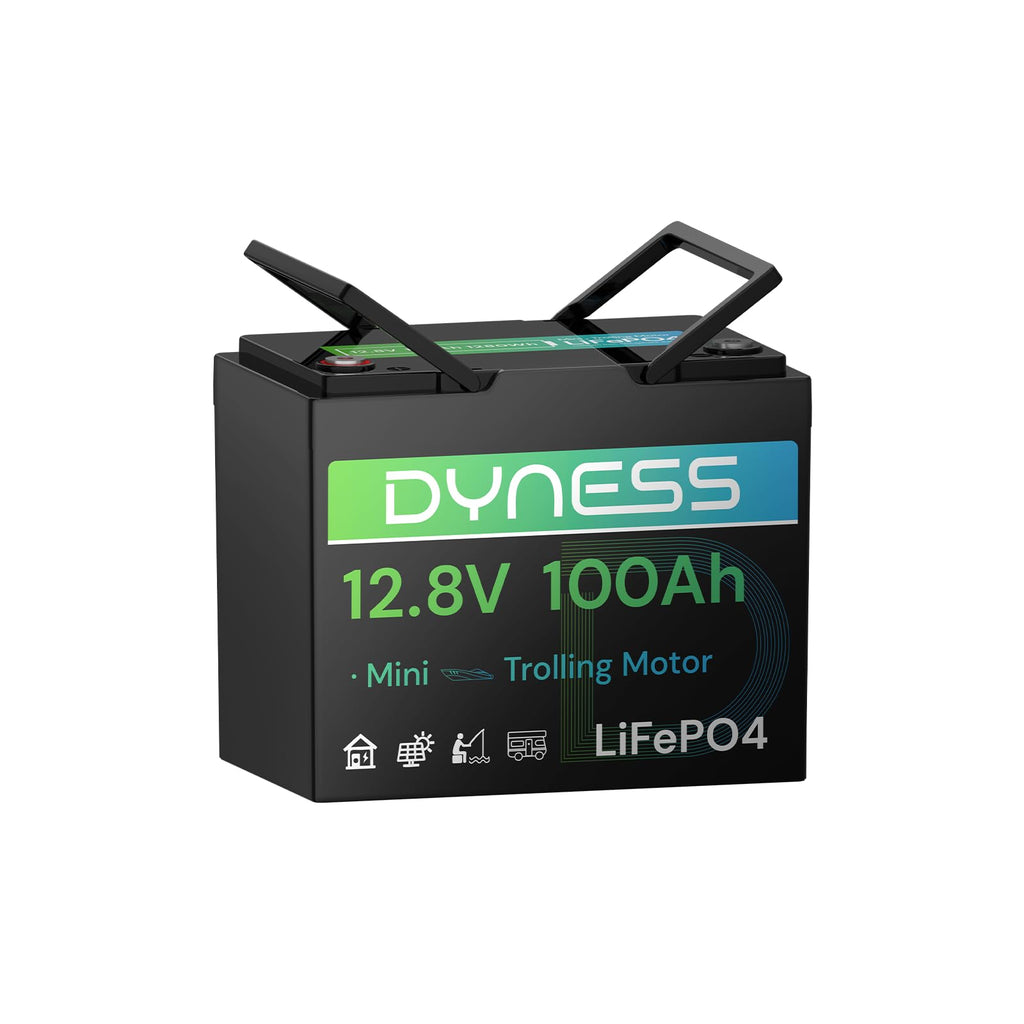 12V 100Ah Mini LiFePO4 Lithium Battery B577