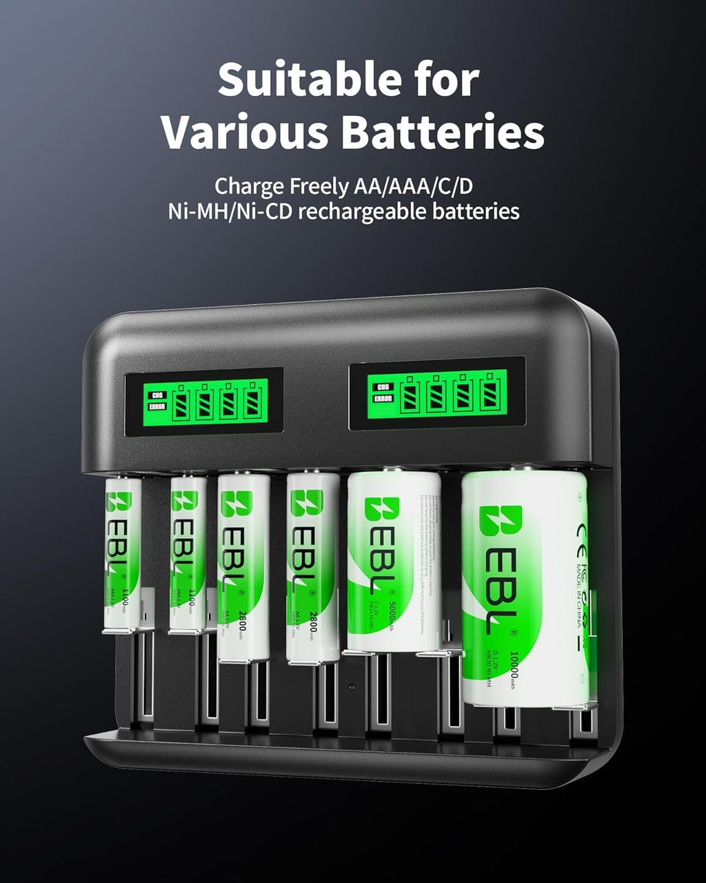 Rechargeable D Batteries 4 Pack with Battery Charger E14700