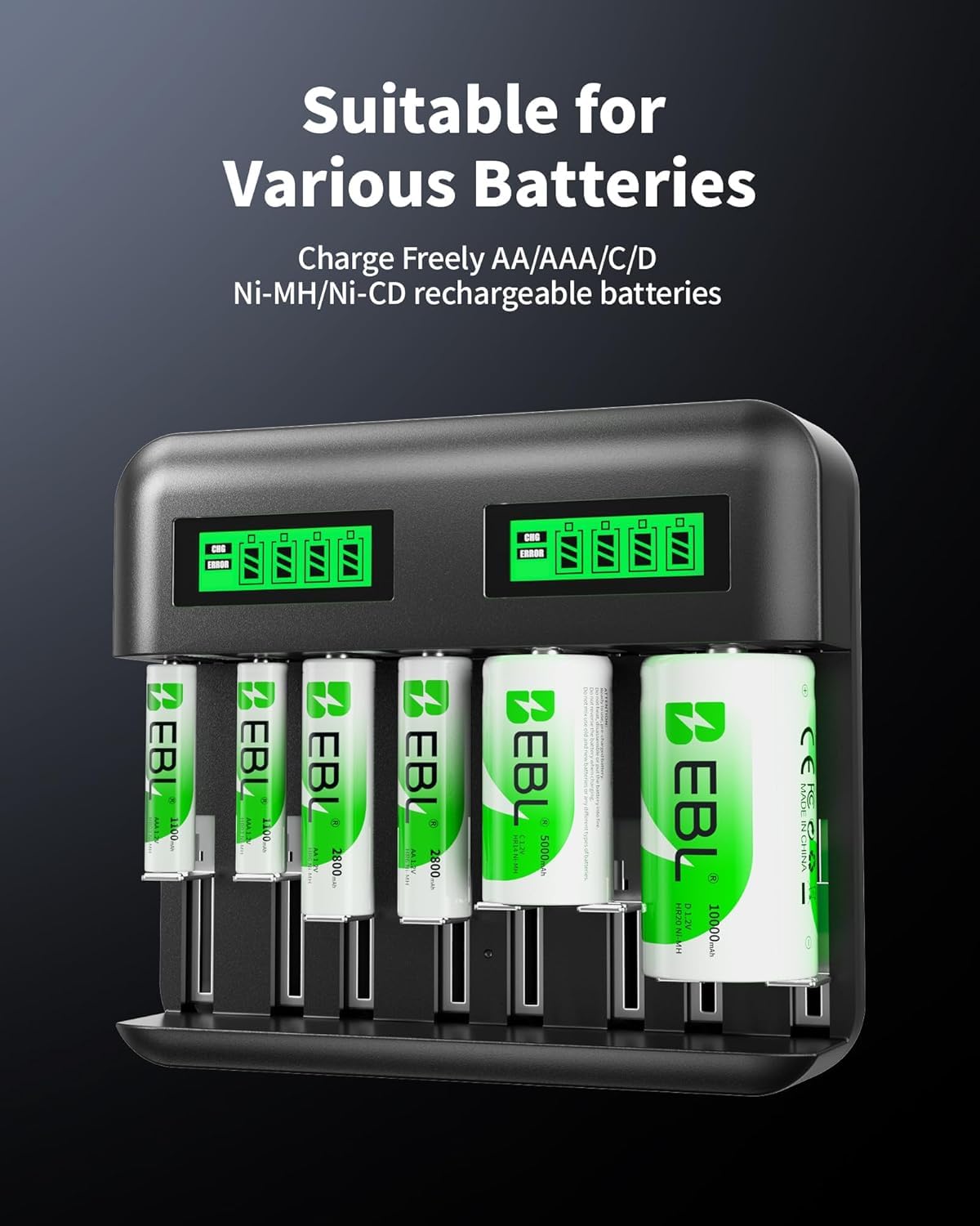 Rechargeable D Batteries 4 Pack with Battery Charger E14700