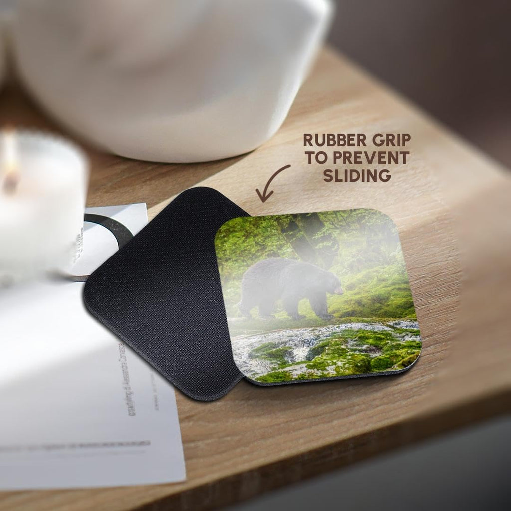 Set of 8 Coasters L10033