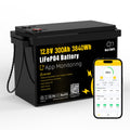 12V 300Ah LiFePO4 Battery with 200A BMS N6354