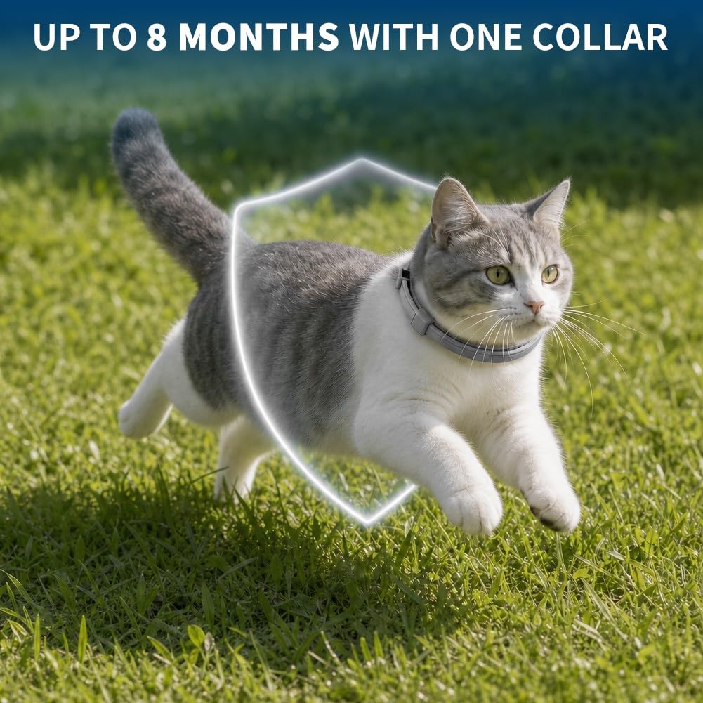 Cat Flea and Tick Collar 4 Pack O554772