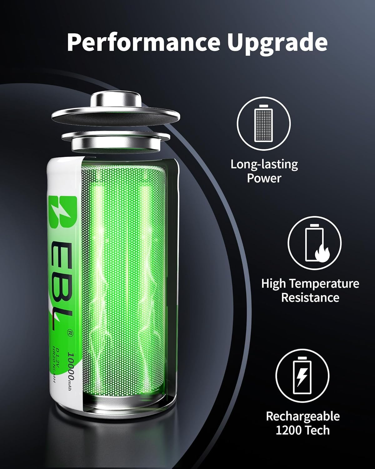 Rechargeable D Batteries 4 Pack with Battery Charger E14700