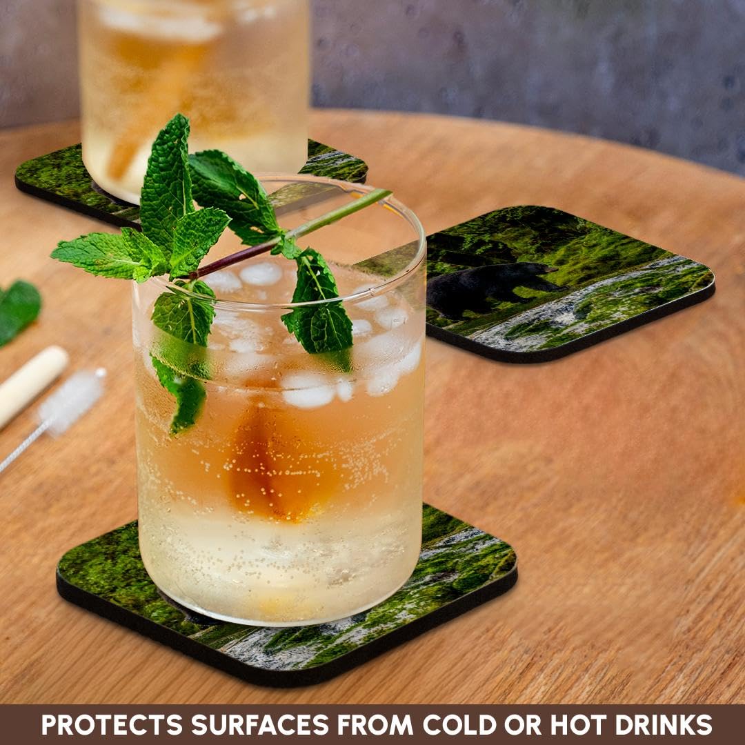 Set of 8 Coasters L10033