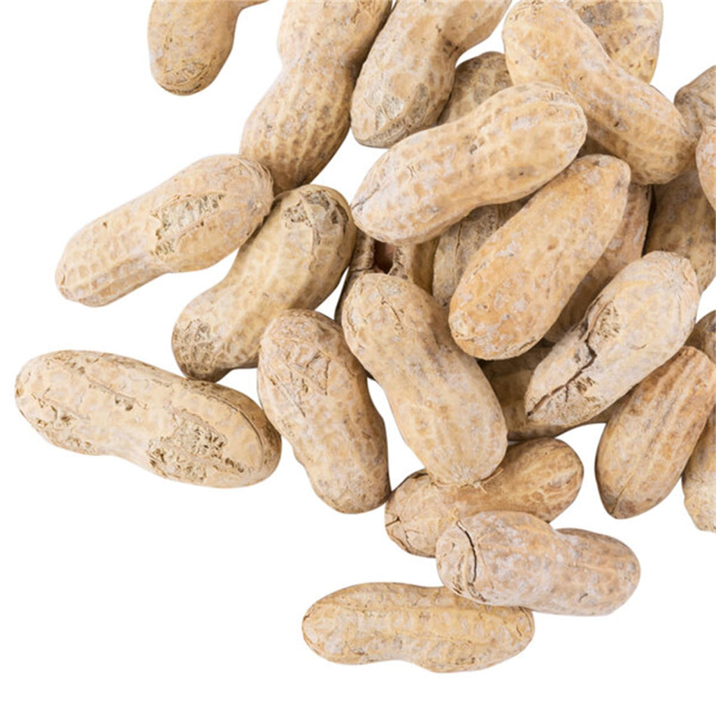 Roasted Salted in-Shell Peanuts 25 lb Q619