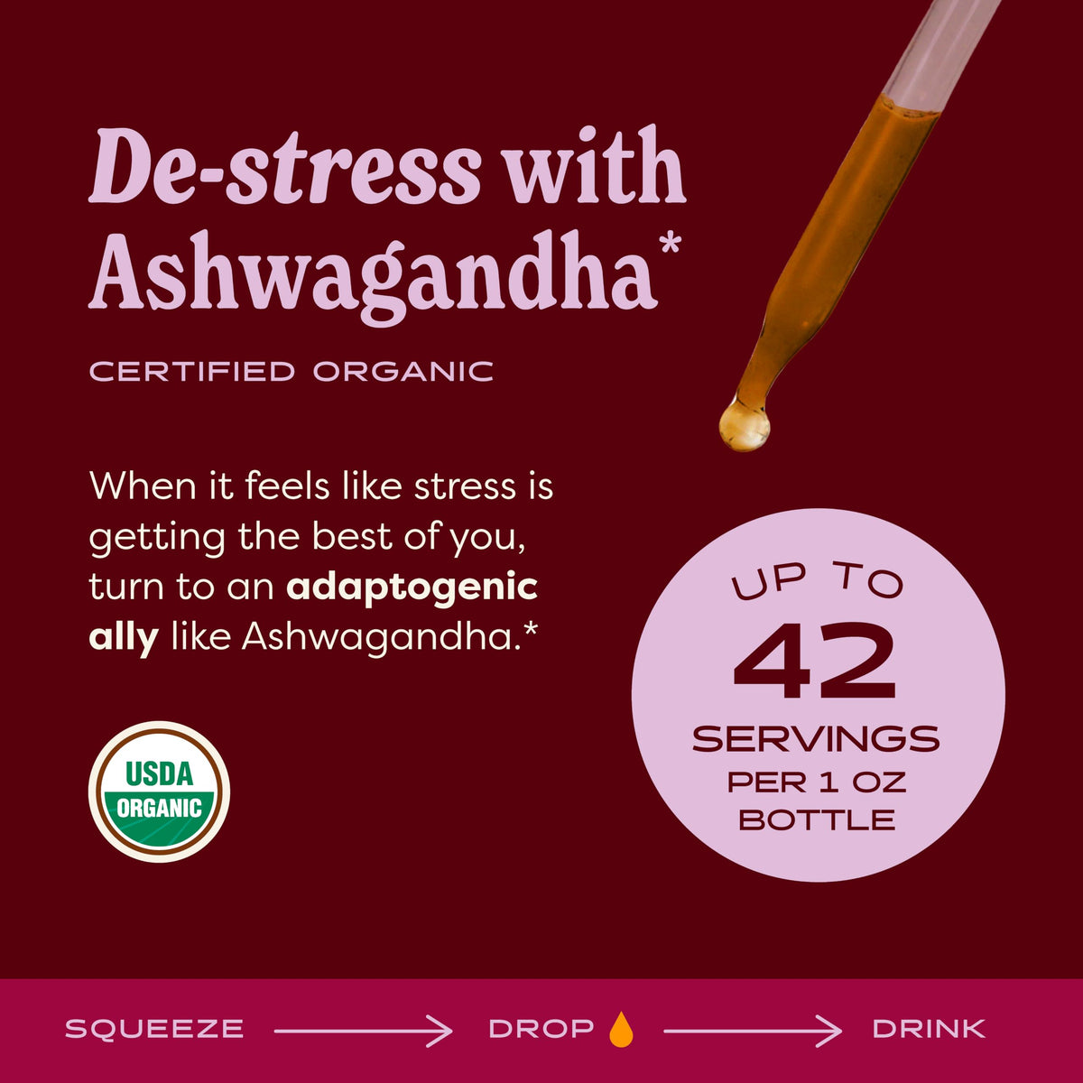 Organic Alcohol-Free Ashwagandha Liquid Extract 1 Oz P6572
