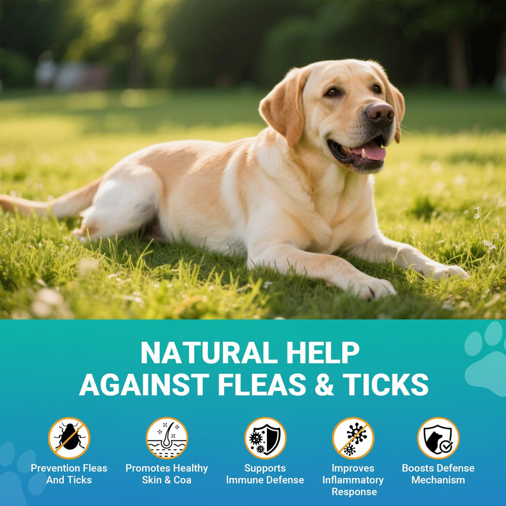 120 Soft Chews Flea and Tick Chewables for Dogs Chicken Flavor M293