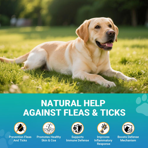120 Soft Chews Flea and Tick Chewables for Dogs Chicken Flavor M293