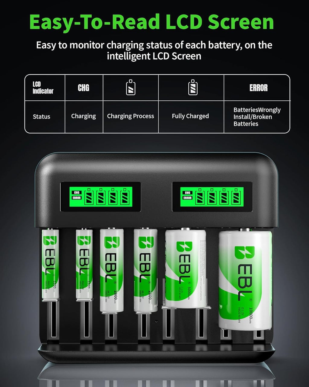 Rechargeable D Batteries 4 Pack with Battery Charger E14700