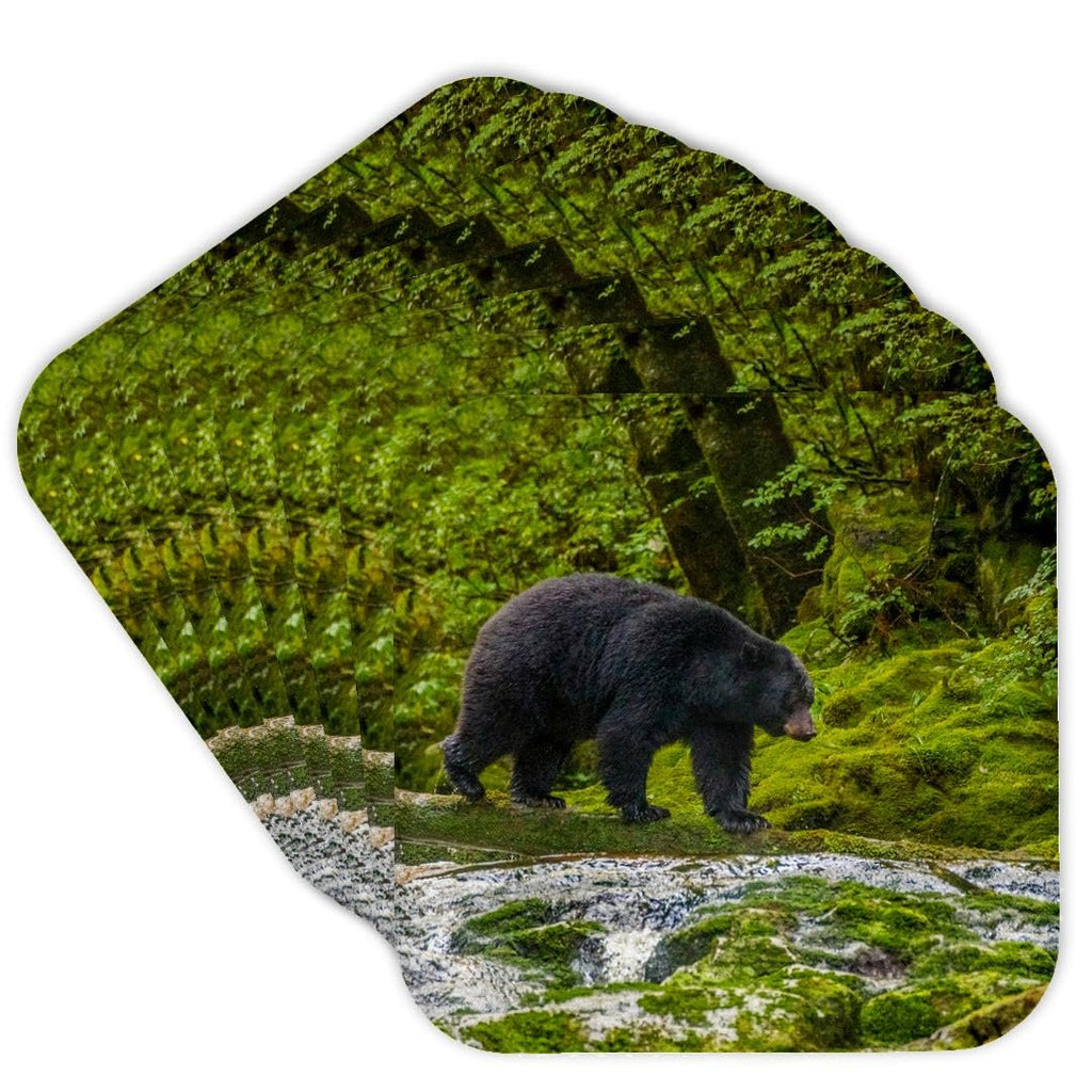 Set of 8 Coasters L10033