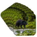 Set of 8 Coasters L10033