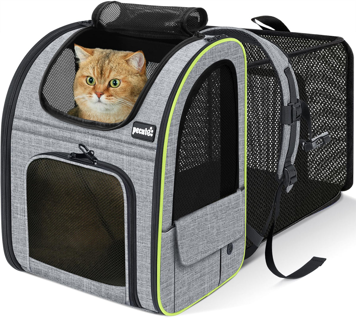 Expandable Cat Carrier Backpack with Breathable Window V269681
