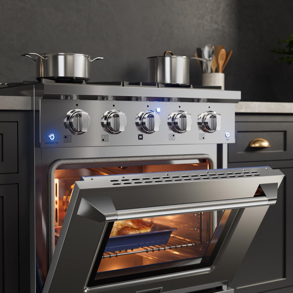 30" Gas Range with Dual-Ring Power Burner E22015