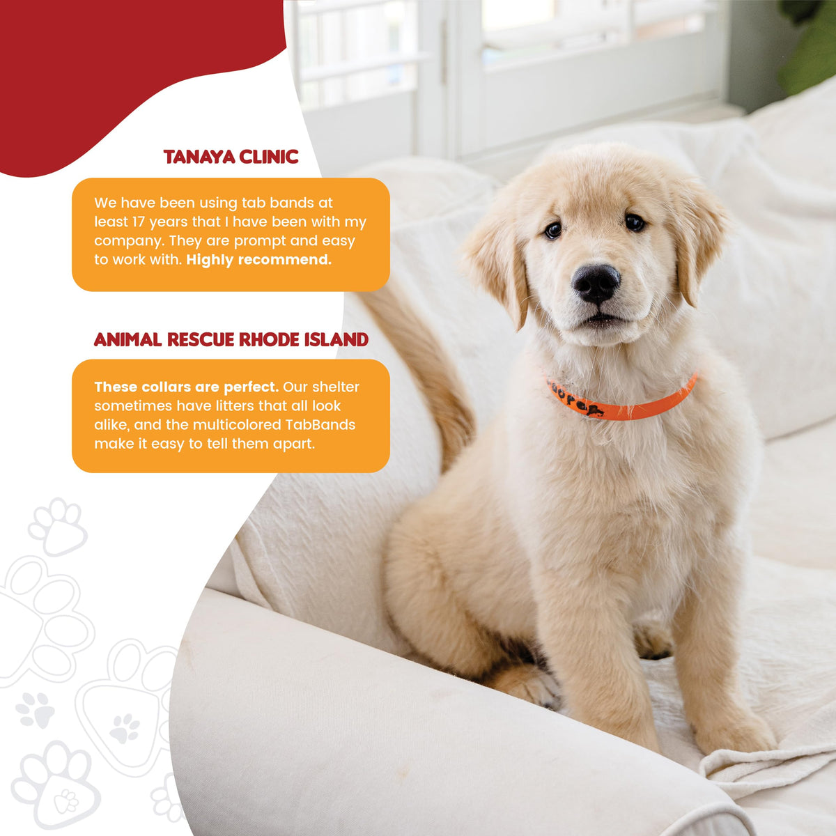 20 Inch 500 Count Waterproof Writable Tear-Resistant Pet ID Collars L762