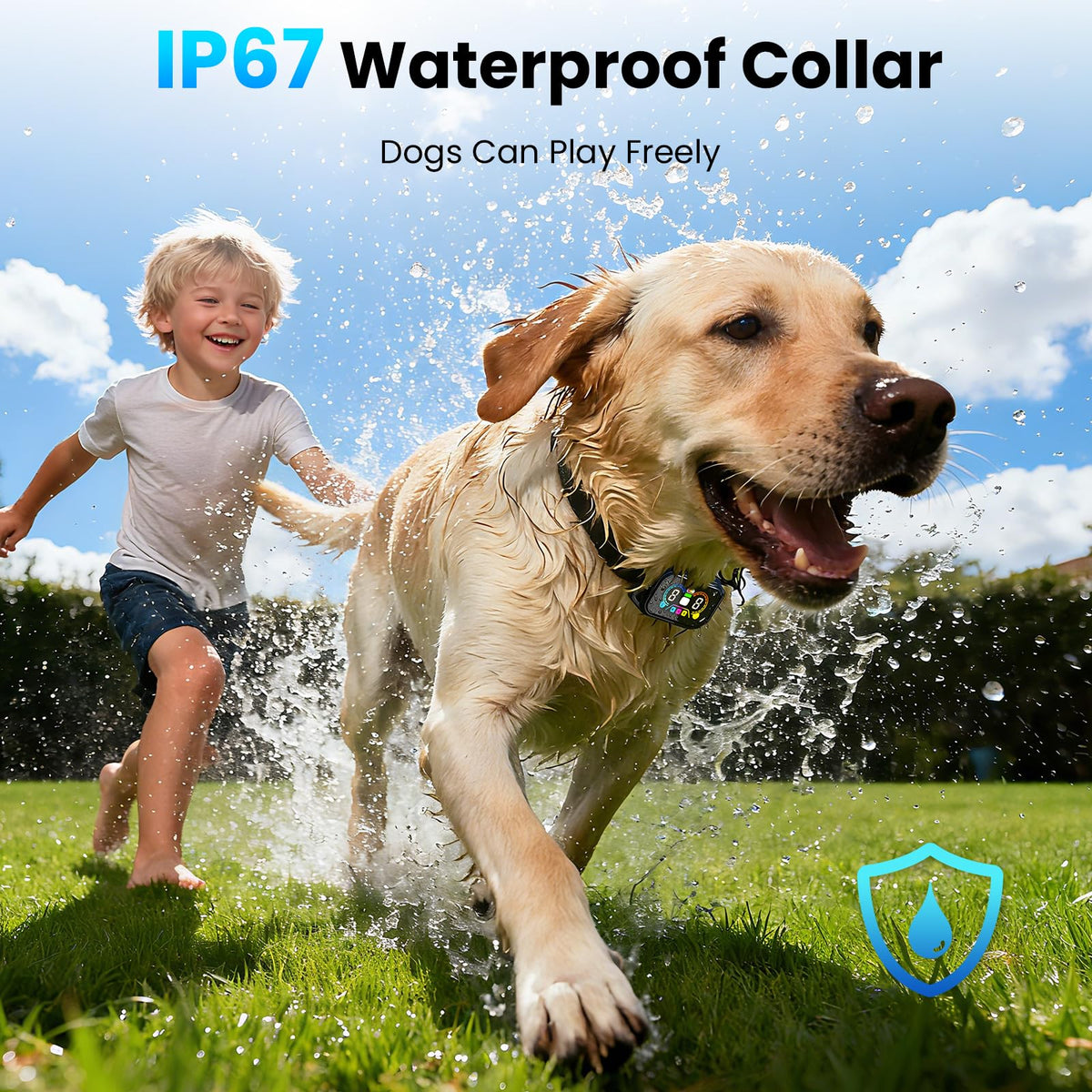 2-in-1 Dog Bark Collar with Remote, 3 Modes, IP67 Waterproof A4452