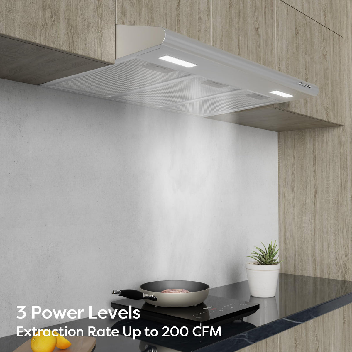 30 inch Stainless Steel Under Cabinet Range Hood D293307